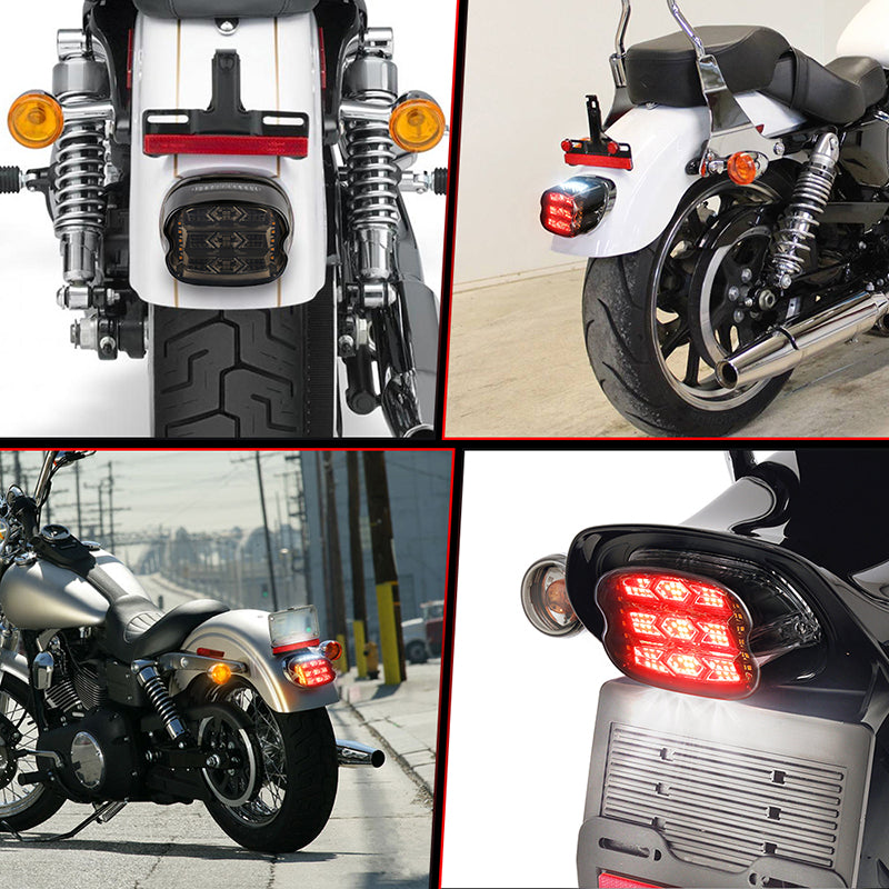 OVOVS Smoke Lens LED Tail Light with Turn Signal Brake Light For Harley Road King